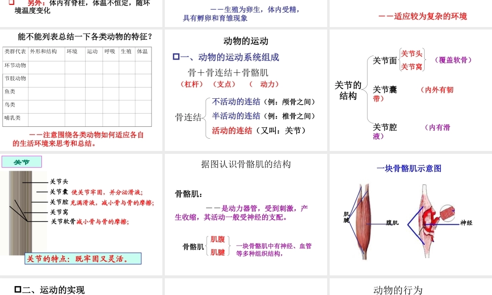 八年级生物下册 第二十二章 第三节 动物的主要类群复习课件 北师大版