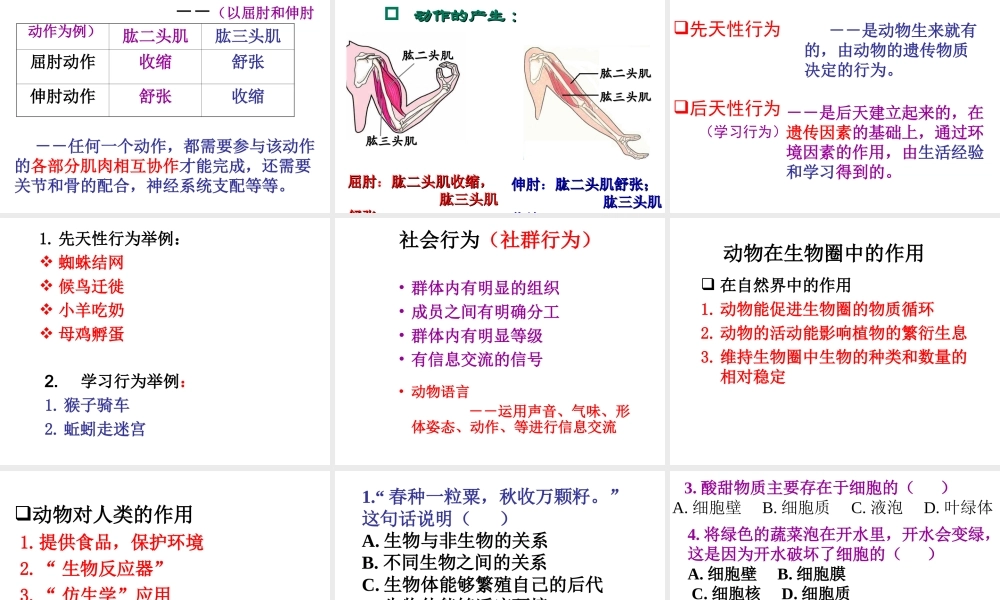 八年级生物下册 第二十二章 第三节 动物的主要类群复习课件 北师大版