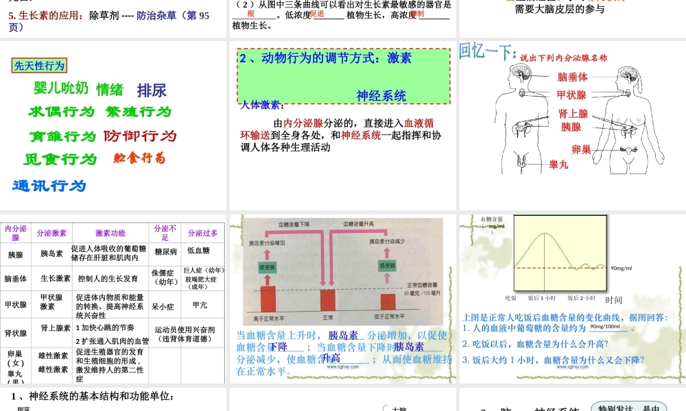 八年级科学上册 第3章《生命活动的调节》复习课件 浙教版-浙教版初中八年级上册自然科学课件