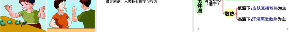八年级科学上册 第3章《生命活动的调节》复习课件 浙教版-浙教版初中八年级上册自然科学课件