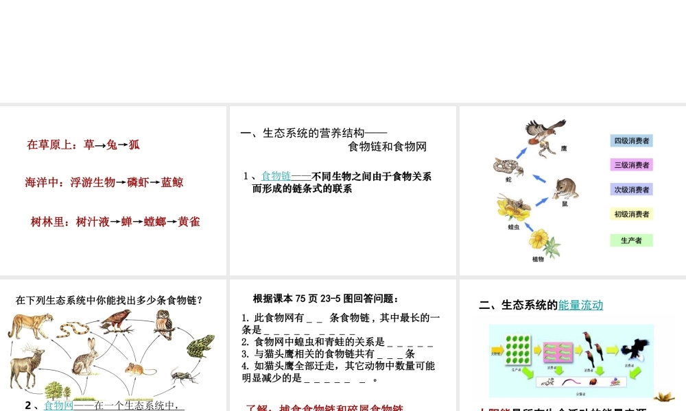 八年级生物下册 第23章 第3节 生态系统的结构和功能课件 北师大版-北师大级下册生物课件