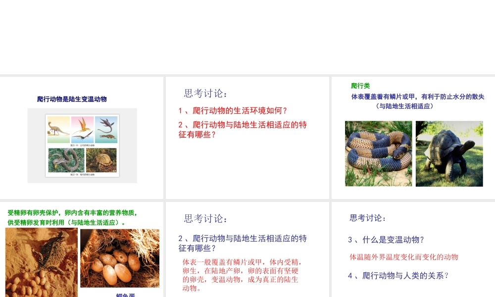 八年级生物下册 第二十二章 第三节 动物的主要类群课件 北师大版