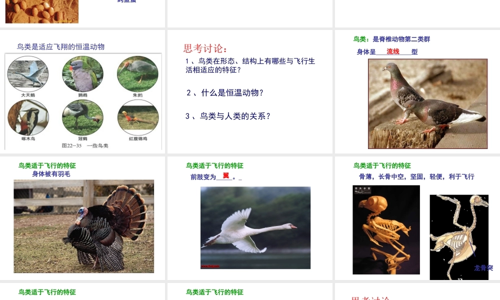 八年级生物下册 第二十二章 第三节 动物的主要类群课件 北师大版