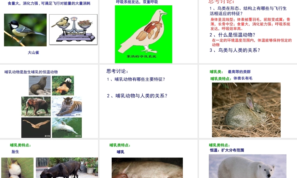 八年级生物下册 第二十二章 第三节 动物的主要类群课件 北师大版