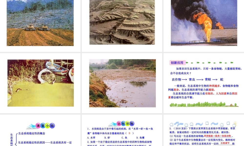 八年级生物下册 第23章 第3节 生态系统的稳定性课件 北师大版