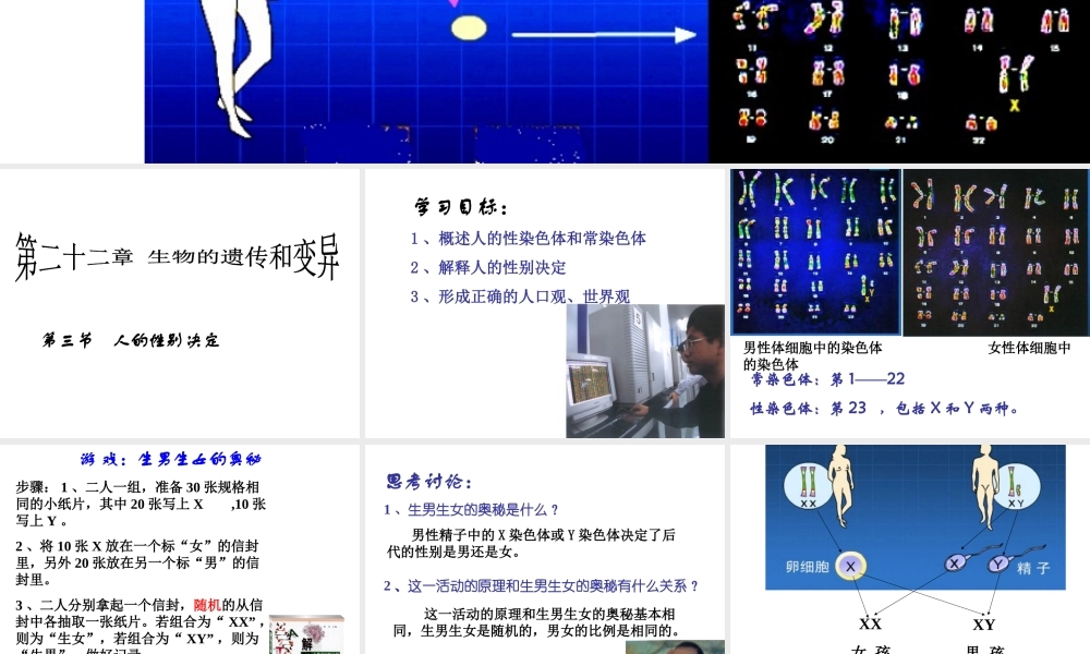八年级生物下册 第二十二章 第三节 人的性别决定课件1 （新版）苏教版