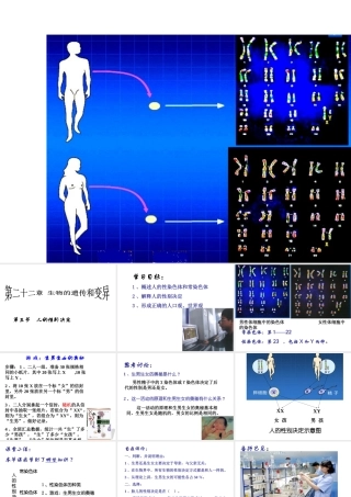 八年级生物下册 第二十二章 第三节 人的性别决定课件1 （新版）苏教版