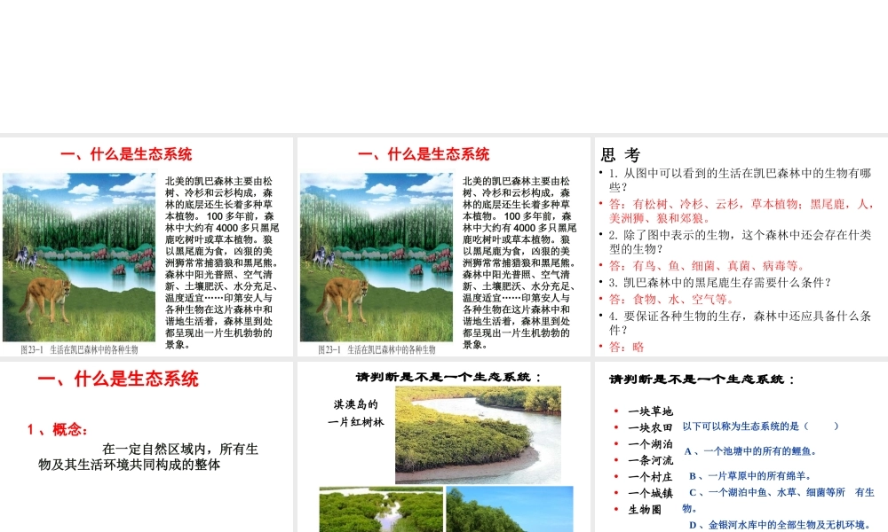 八年级生物下册 第八单元 第二十三章 第二节 生态系统概述课件 北师大版