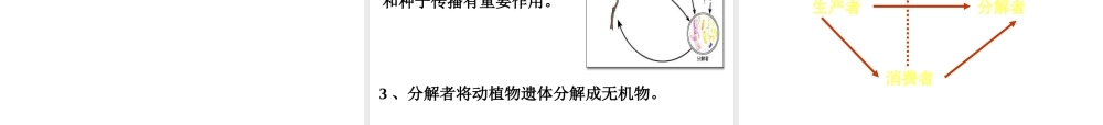 八年级生物下册 第八单元 第二十三章 第二节 生态系统概述课件 北师大版