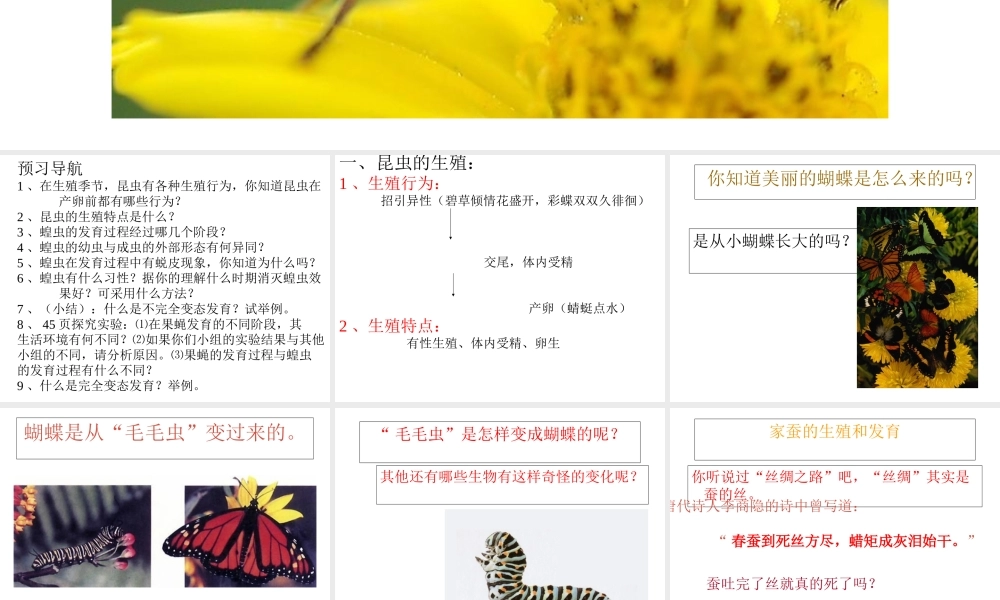 八年级生物下册 第二节 昆虫的生殖和发育课件 新人教版