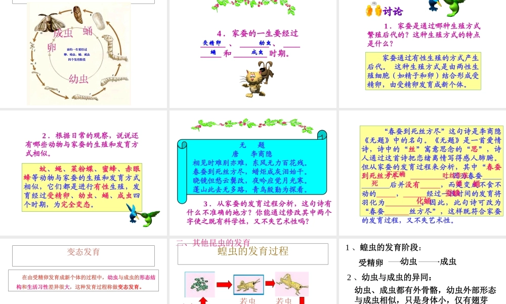 八年级生物下册 第二节 昆虫的生殖和发育课件 新人教版