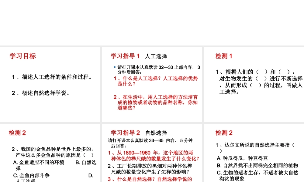 八年级生物下册 第23章 第3节 生物进化的原因课件 （新版）苏科版-（新版）苏科版初中八年级下册生物课件