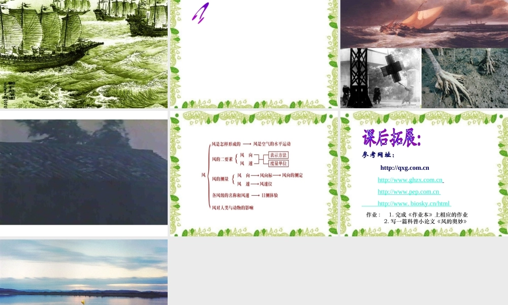 八年级科学上册 第2章 地球的“外衣”大气_第五节 风 课件浙教版