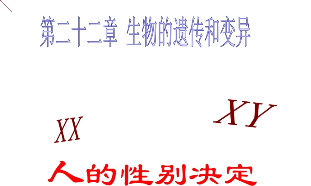 八年级生物下册 第二十二章 第三节 人的性别决定课件2 （新版）苏教版