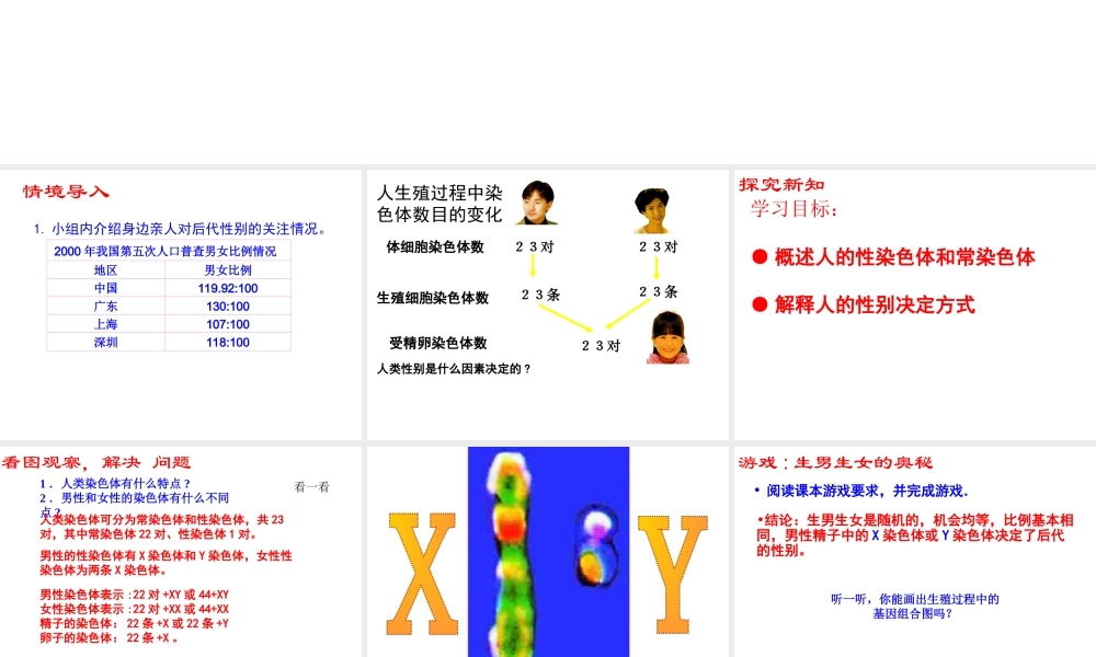 八年级生物下册 第二十二章 第三节 人的性别决定课件2 （新版）苏教版