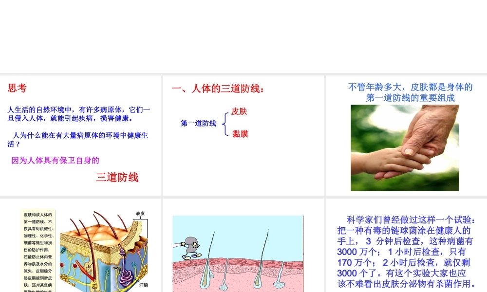 八年级生物下册 第二节 免疫课件 新人教版