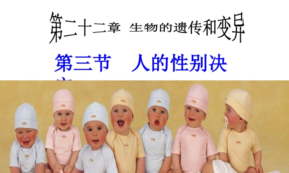 八年级生物下册 第二十二章 第三节 人的性别决定课件3 （新版）苏教版