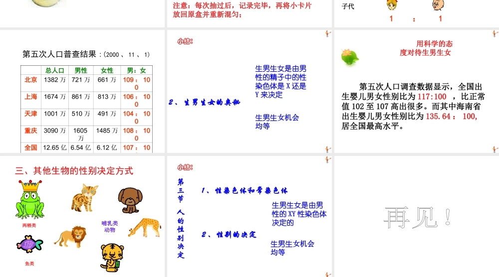 八年级生物下册 第二十二章 第三节 人的性别决定课件3 （新版）苏教版