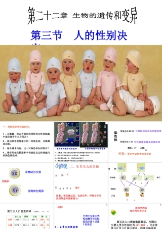 八年级生物下册 第二十二章 第三节 人的性别决定课件3 （新版）苏教版