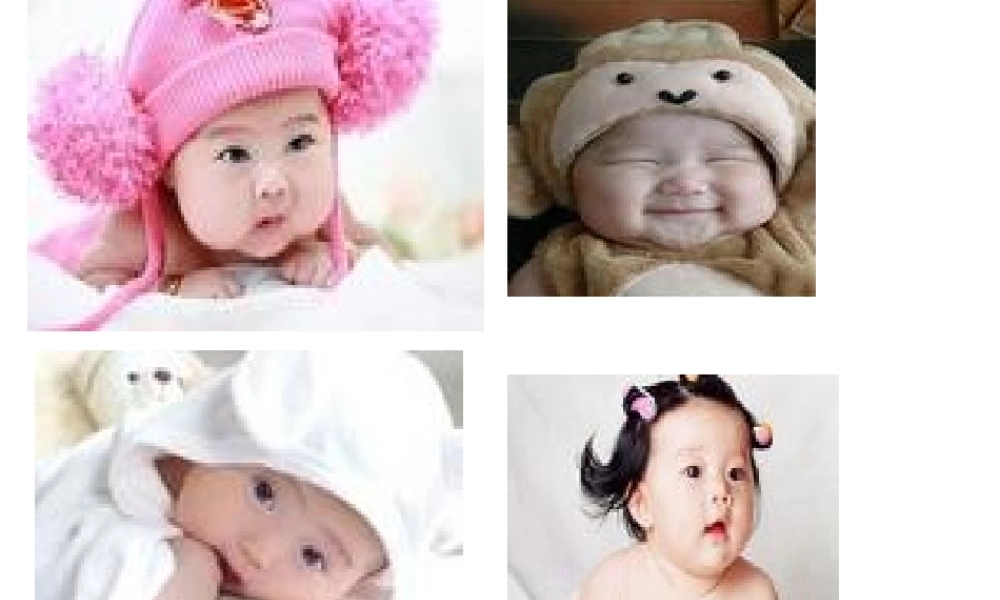 八年级生物下册 第二十二章 第三节 人的性别决定课件4 （新版）苏教版