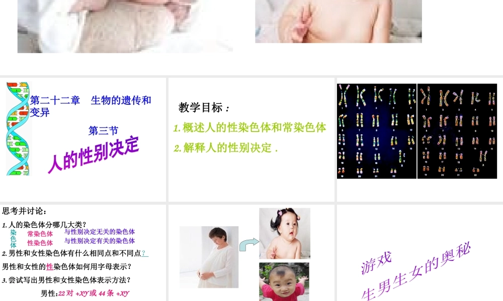 八年级生物下册 第二十二章 第三节 人的性别决定课件4 （新版）苏教版