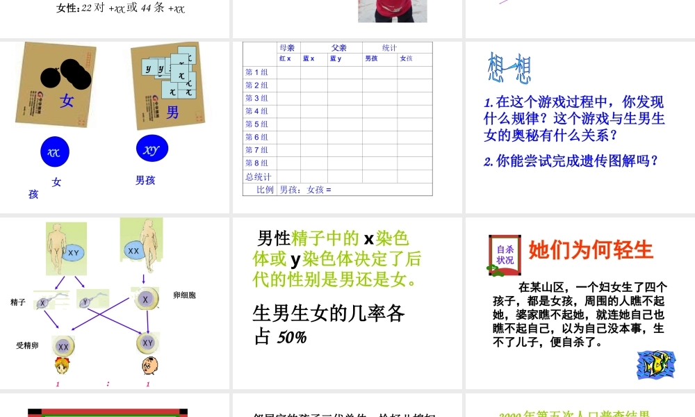 八年级生物下册 第二十二章 第三节 人的性别决定课件4 （新版）苏教版