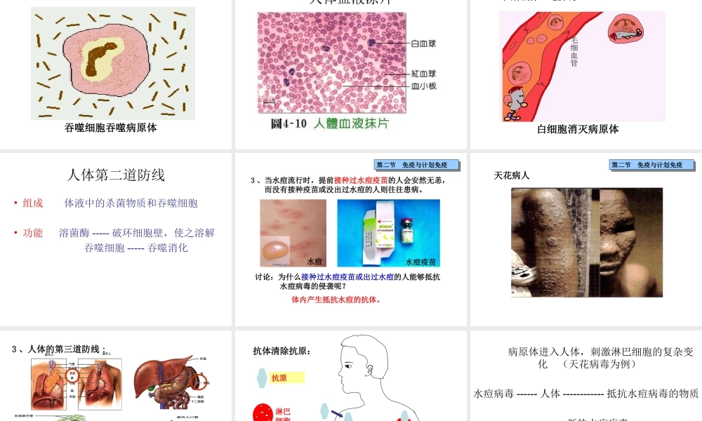 八年级生物下册 第二节 免疫与计划免疫课件课件 新人教版