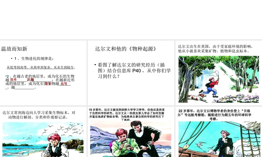 八年级生物下册 第23章 第3节 生物进化的原因课件 苏科版-苏科版初中八年级下册生物课件