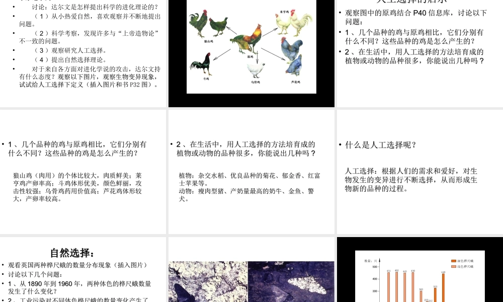 八年级生物下册 第23章 第3节 生物进化的原因课件 苏科版-苏科版初中八年级下册生物课件