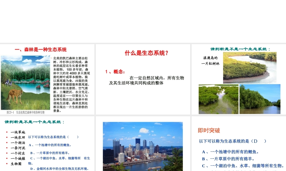 八年级生物下册 第二节 生态系统概述课件 北师大版