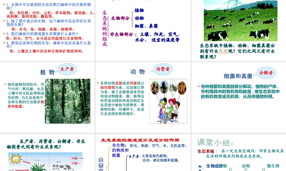 八年级生物下册 第二节 生态系统概述课件 北师大版