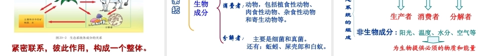 八年级生物下册 第二节 生态系统概述课件 北师大版