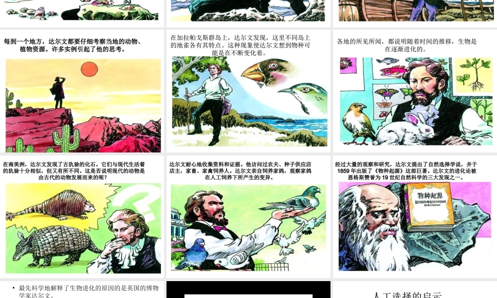 八年级生物下册 第23章 第3节 生物进化的原因课件 苏科版-苏科级下册生物课件