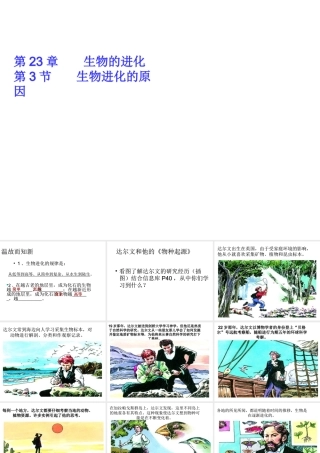 八年级生物下册 第23章 第3节 生物进化的原因课件 苏科版-苏科级下册生物课件