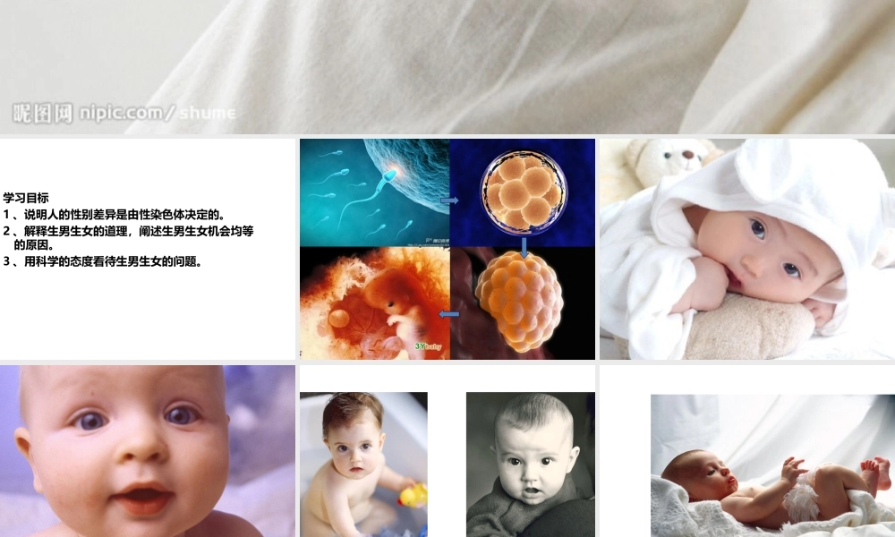 八年级生物下册 第7单元 第2章 第4节 人的性别遗传课件 （新版）新人教版-（新版）新人教版初中八年级下册生物课件