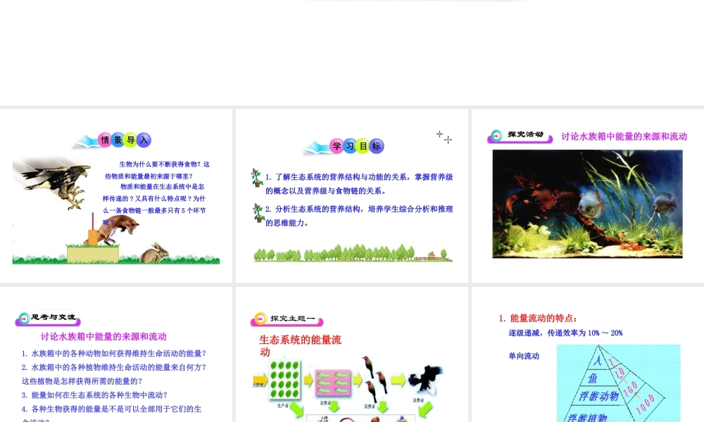 八年级生物下册 第23章 第3节《生态系统的结构和功能》课件 （新版）北师大版