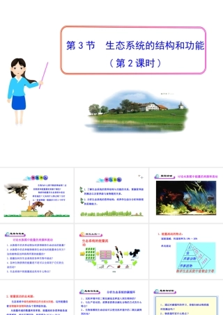 八年级生物下册 第23章 第3节《生态系统的结构和功能》课件 （新版）北师大版