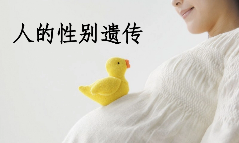 八年级生物下册 第7单元 第2章 第4节 人的性别遗传课件 （新版）新人教版-（新版）新人教级下册生物课件