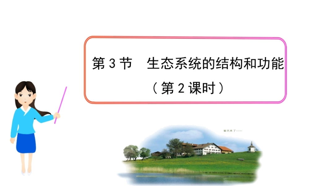 八年级生物下册 第23章 第3节《生态系统的结构和功能》课件 北师大版