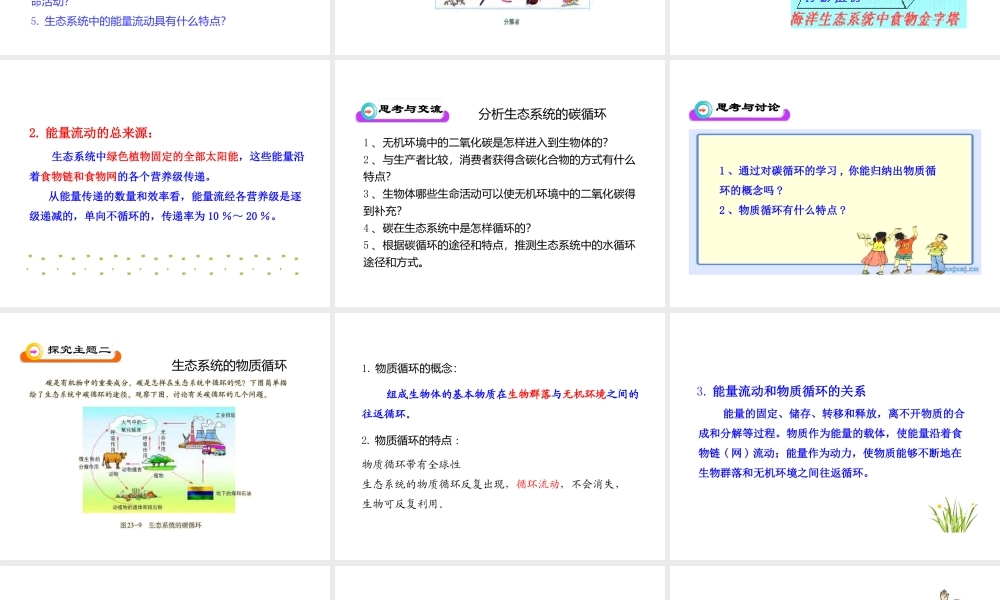八年级生物下册 第23章 第3节《生态系统的结构和功能》课件 北师大版