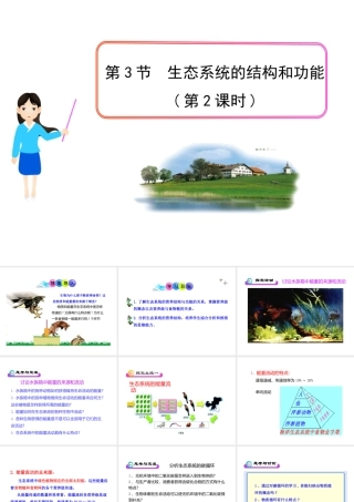 八年级生物下册 第23章 第3节《生态系统的结构和功能》课件 北师大版