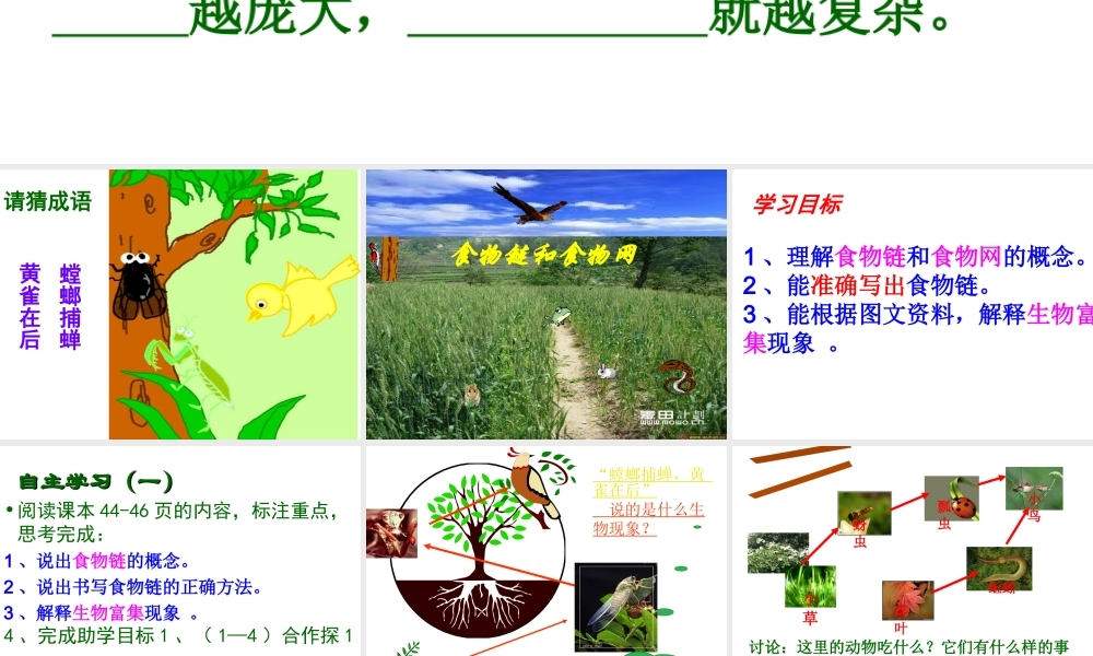 八年级生物下册 第二节食物链和食物网课件 济南版