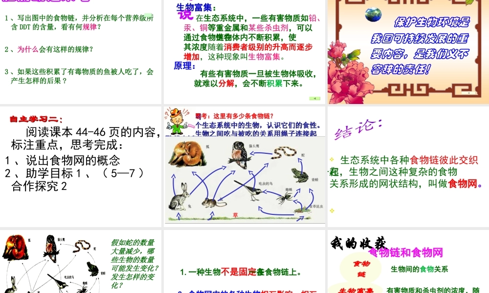 八年级生物下册 第二节食物链和食物网课件 济南版