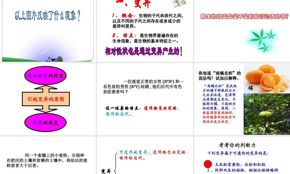 八年级生物下册 第7单元 第2章 第5节 生物的变异课件 （新版）新人教版-（新版）新人教版初中八年级下册生物课件