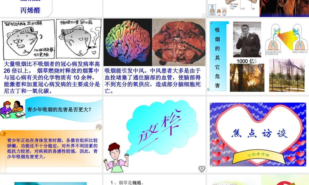 八年级生物下册 第二节选择健康的生活方式课件-吸烟的危害课件 人教新课标版