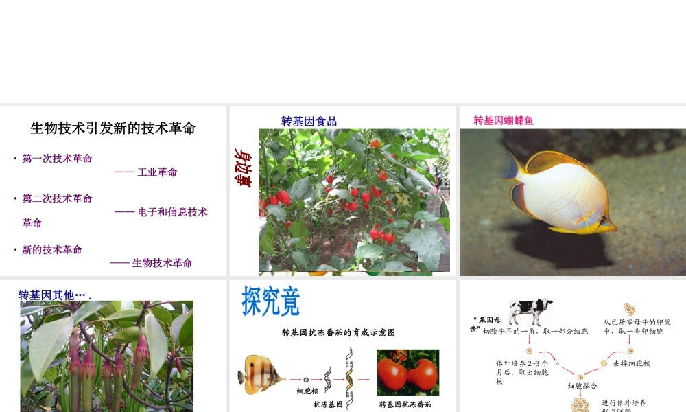 八年级生物下册 第八单元 第二章 现代生物技术课件 冀教版-冀教版初中八年级下册生物课件