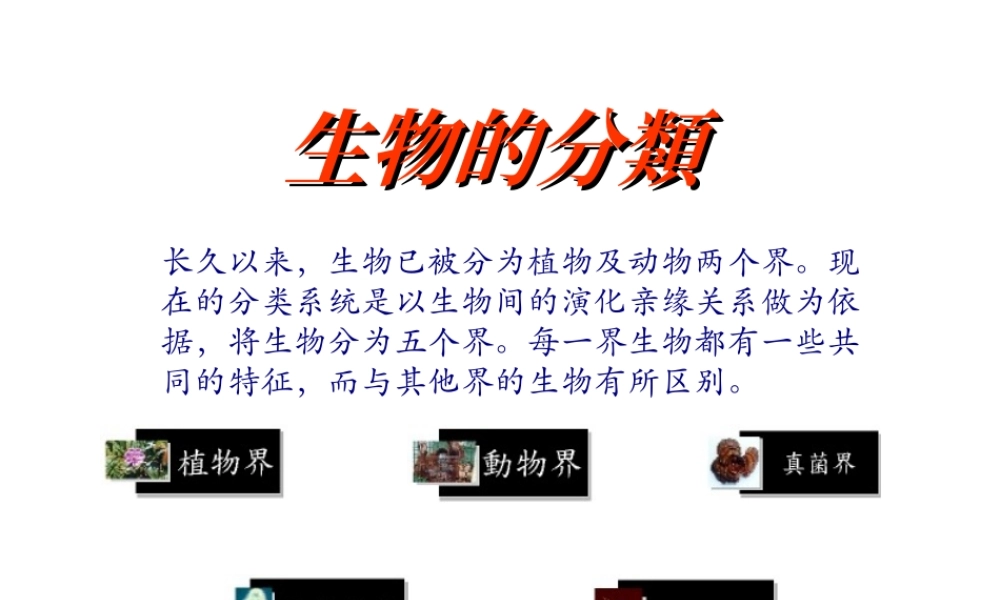 八年级生物下册 第二十二章 第三节 植物的主要类群课件 （新版）北师大版