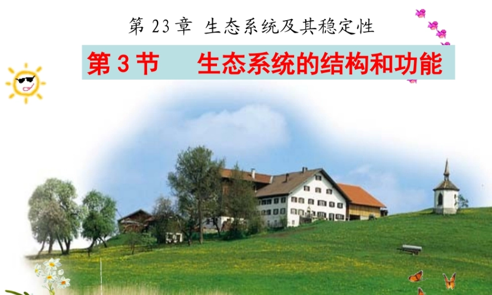八年级生物下册 第23章 第3节生态系统的结构和功能课件 （新版）北师大版-（新版）北师大级下册生物课件