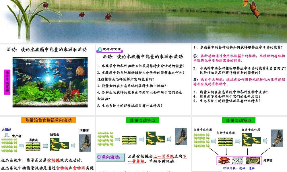 八年级生物下册 第23章 第3节生态系统的结构和功能课件 （新版）北师大版-（新版）北师大级下册生物课件