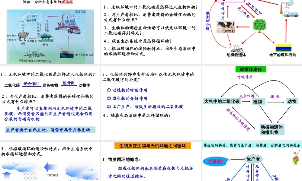 八年级生物下册 第23章 第3节生态系统的结构和功能课件 （新版）北师大版-（新版）北师大级下册生物课件